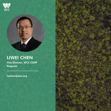 WCS CBD COP17 Quote Cards - Liwei Chen